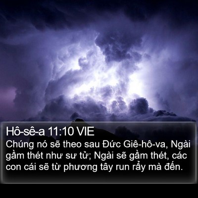 Hô-sê-a 11:10 VIE Bible Verse Image