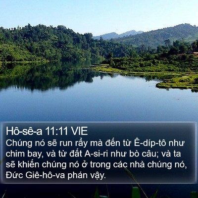 Hô-sê-a 11:11 VIE Bible Verse Image