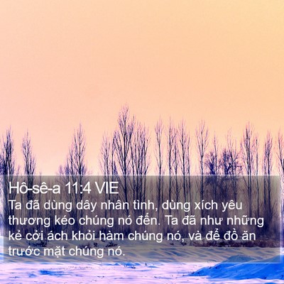 Hô-sê-a 11:4 VIE Bible Verse Image