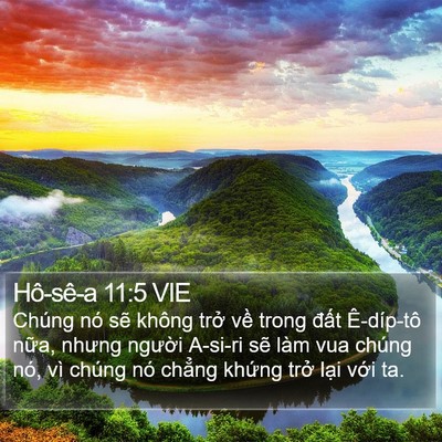 Hô-sê-a 11:5 VIE Bible Verse Image