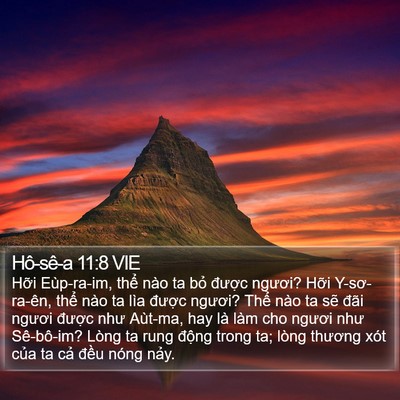 Hô-sê-a 11:8 VIE Bible Verse Image