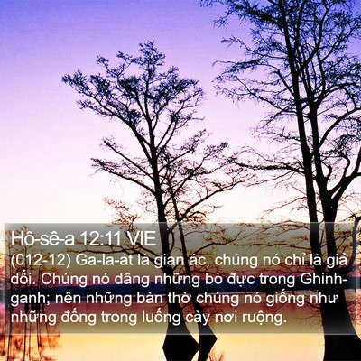 Hô-sê-a 12:11 VIE Bible Verse Image