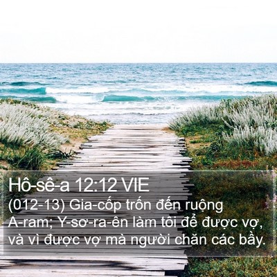 Hô-sê-a 12:12 VIE Bible Verse Image