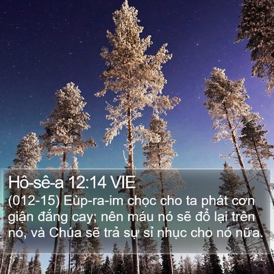 Hô-sê-a 12:14 VIE Bible Verse Image