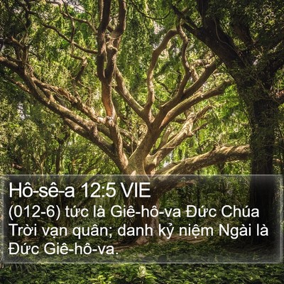 Hô-sê-a 12:5 VIE Bible Verse Image
