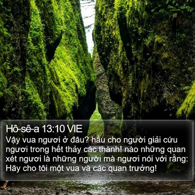 Hô-sê-a 13:10 VIE Bible Verse Image
