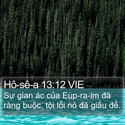Hô-sê-a 13:12 VIE Bible Verse Image