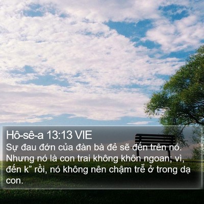 Hô-sê-a 13:13 VIE Bible Verse Image