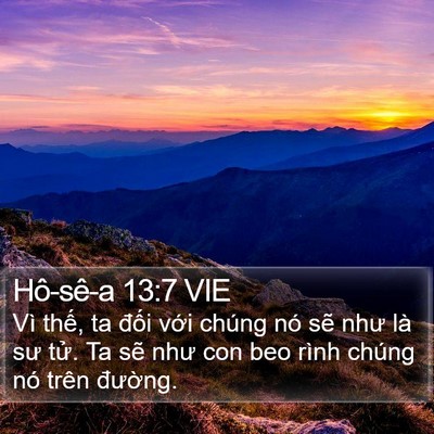 Hô-sê-a 13:7 VIE Bible Verse Image