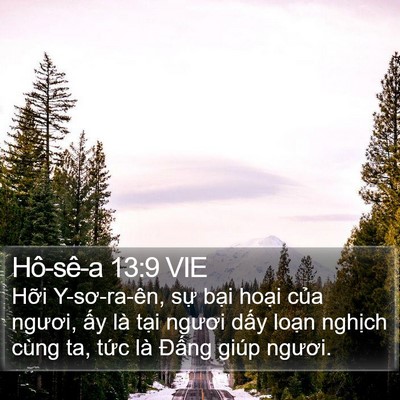 Hô-sê-a 13:9 VIE Bible Verse Image
