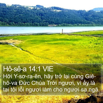 Hô-sê-a 14:1 VIE Bible Verse Image
