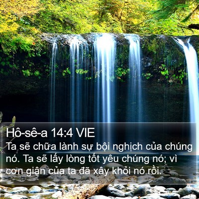 Hô-sê-a 14:4 VIE Bible Verse Image