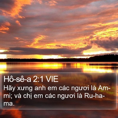 Hô-sê-a 2:1 VIE Bible Verse Image