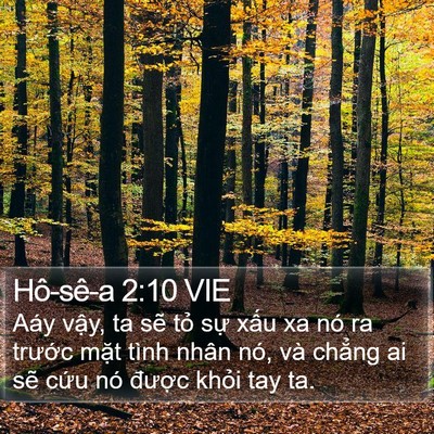 Hô-sê-a 2:10 VIE Bible Verse Image