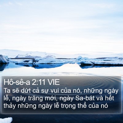 Hô-sê-a 2:11 VIE Bible Verse Image