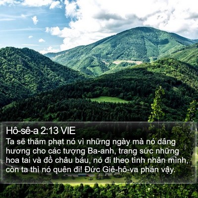 Hô-sê-a 2:13 VIE Bible Verse Image