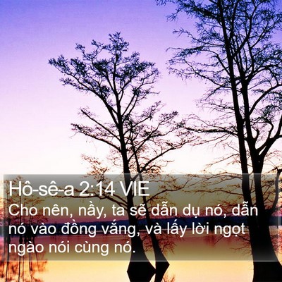 Hô-sê-a 2:14 VIE Bible Verse Image