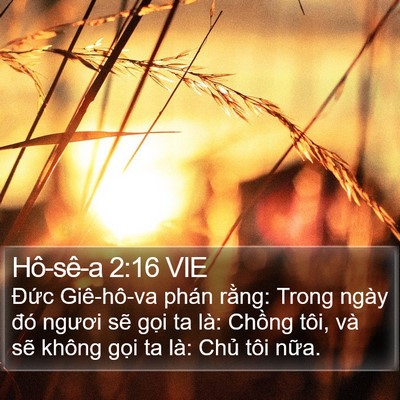 Hô-sê-a 2:16 VIE Bible Verse Image