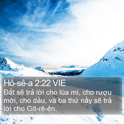 Hô-sê-a 2:22 VIE Bible Verse Image