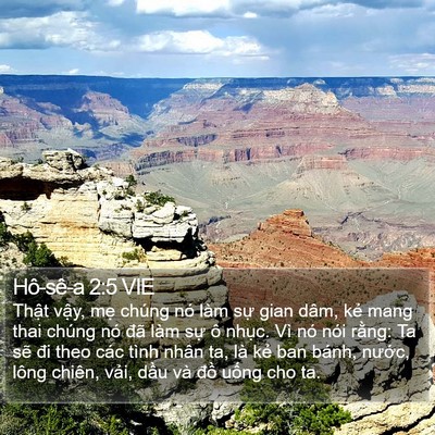 Hô-sê-a 2:5 VIE Bible Verse Image