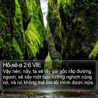 Hô-sê-a 2:6 VIE Bible Verse Image