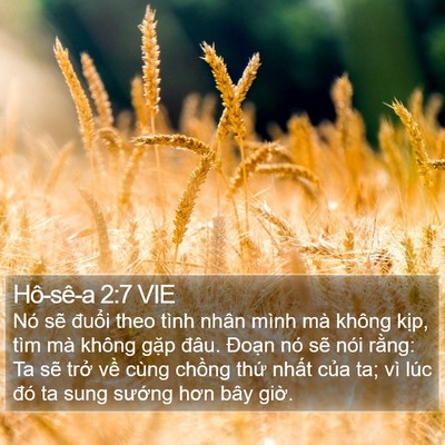 Hô-sê-a 2:7 VIE Bible Verse Image