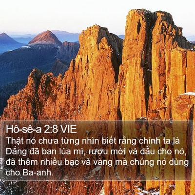 Hô-sê-a 2:8 VIE Bible Verse Image