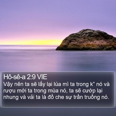 Hô-sê-a 2:9 VIE Bible Verse Image