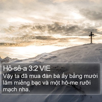 Hô-sê-a 3:2 VIE Bible Verse Image