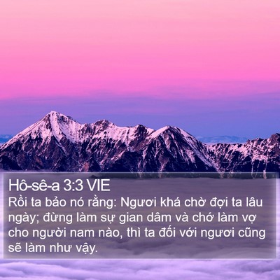 Hô-sê-a 3:3 VIE Bible Verse Image