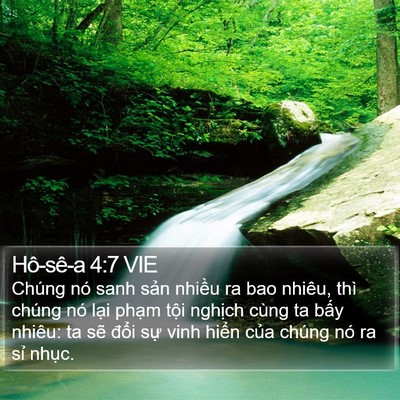 Hô-sê-a 4:7 VIE Bible Verse Image