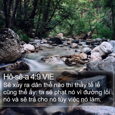 Hô-sê-a 4:9 VIE Bible Verse Image