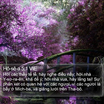 Hô-sê-a 5:1 VIE Bible Verse Image