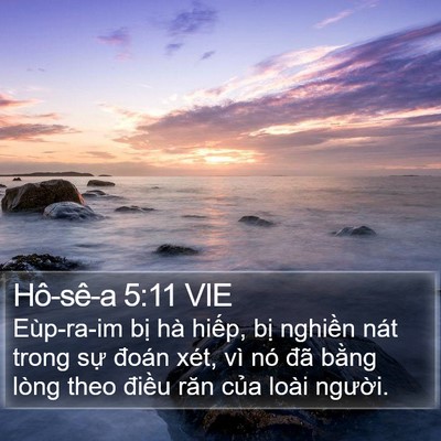 Hô-sê-a 5:11 VIE Bible Verse Image