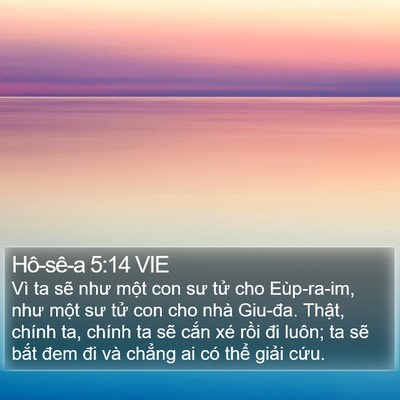 Hô-sê-a 5:14 VIE Bible Verse Image