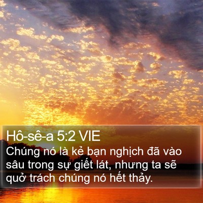 Hô-sê-a 5:2 VIE Bible Verse Image