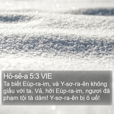 Hô-sê-a 5:3 VIE Bible Verse Image