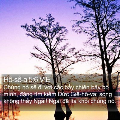 Hô-sê-a 5:6 VIE Bible Verse Image