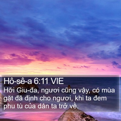 Hô-sê-a 6:11 VIE Bible Verse Image