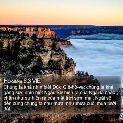 Hô-sê-a 6:3 VIE Bible Verse Image