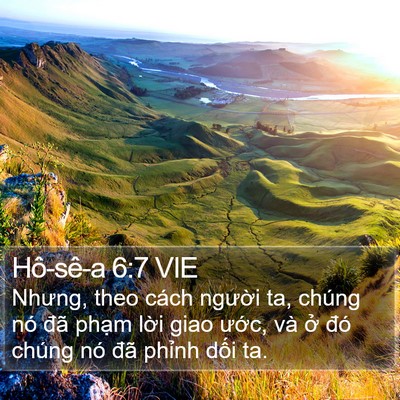 Hô-sê-a 6:7 VIE Bible Verse Image