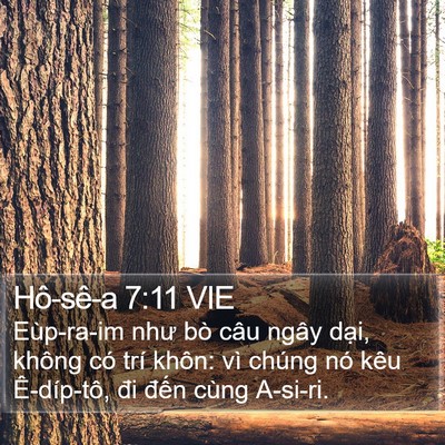 Hô-sê-a 7:11 VIE Bible Verse Image