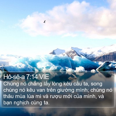 Hô-sê-a 7:14 VIE Bible Verse Image