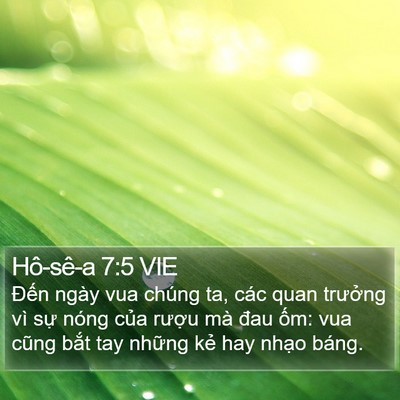 Hô-sê-a 7:5 VIE Bible Verse Image