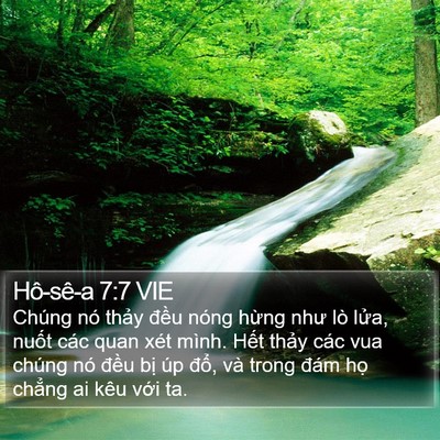 Hô-sê-a 7:7 VIE Bible Verse Image