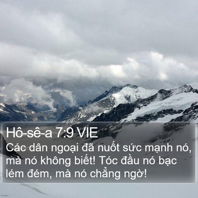 Hô-sê-a 7:9 VIE Bible Verse Image