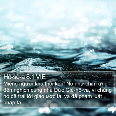 Hô-sê-a 8:1 VIE Bible Verse Image