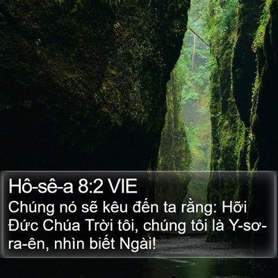 Hô-sê-a 8:2 VIE Bible Verse Image