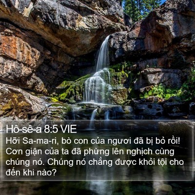 Hô-sê-a 8:5 VIE Bible Verse Image