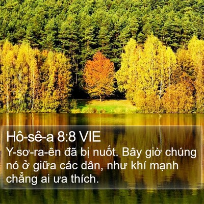 Hô-sê-a 8:8 VIE Bible Verse Image